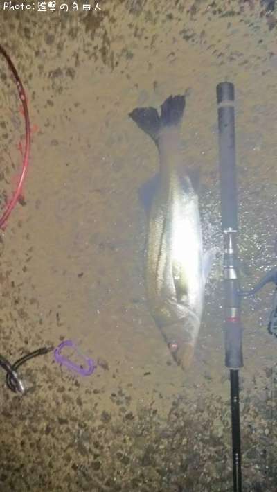 �����Х�