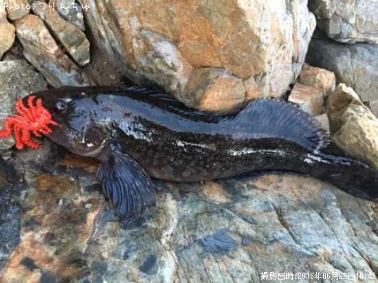 �����ʥ�