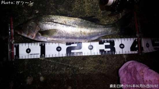 �����Х�