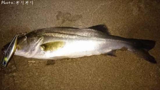 �����Х�