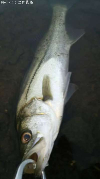 �����Х�