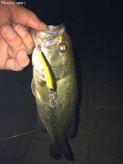 �֥�å��Х�