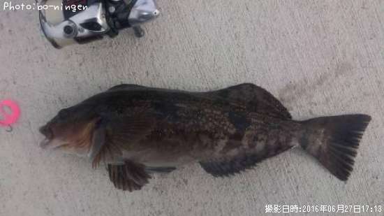 �����ʥ�