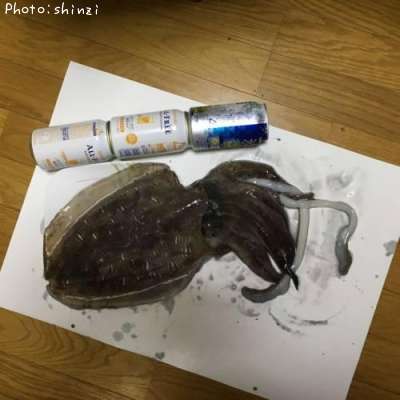 ��󥴥������ʥ��ߥʥꥤ����