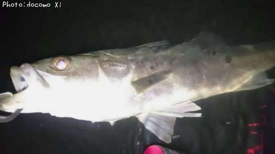 �����Х�