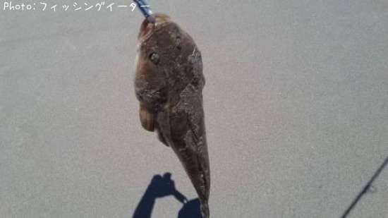 �ޥ���