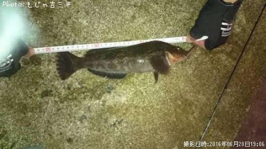 �����ʥ�