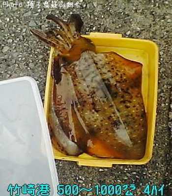 �����ꥤ��