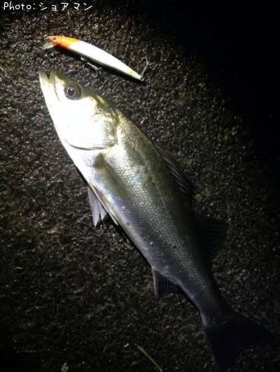 �����Х�