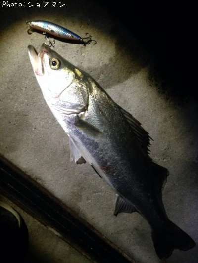 �����Х�