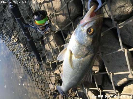 �����Х�