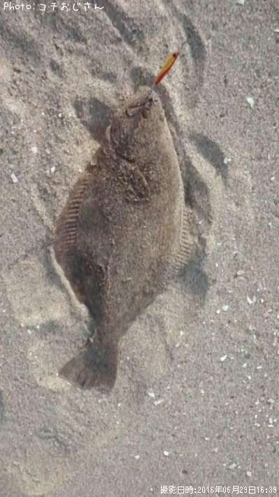 �ҥ��