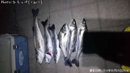 �����Х�