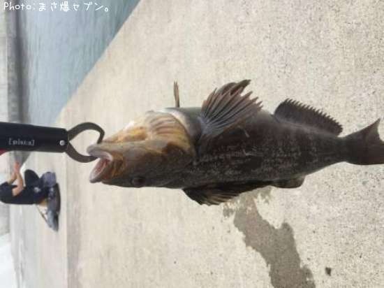 �����ʥ�