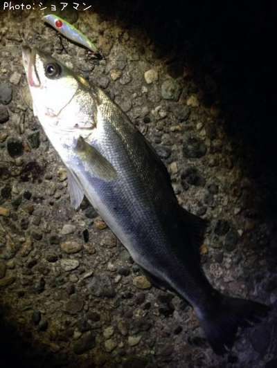 �����Х�