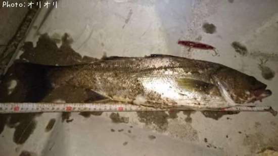 �����Х�