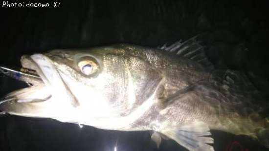 �����Х�