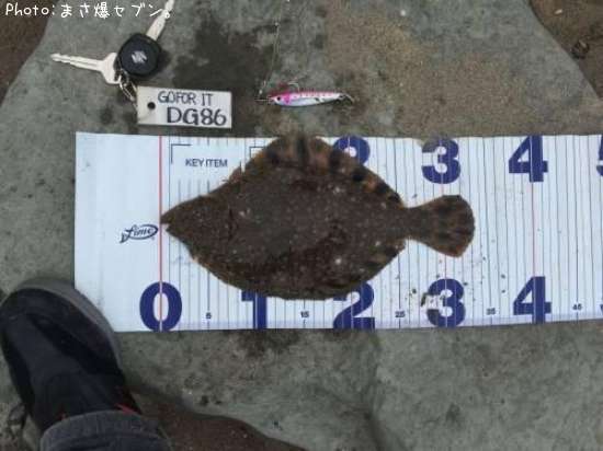 �ޥĥ��塞�쥤