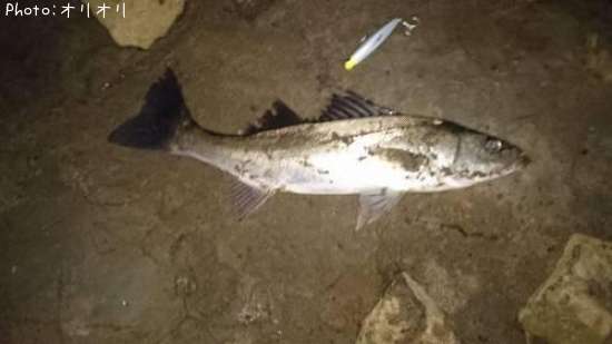 �����Х�