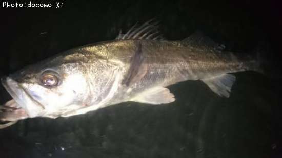 �����Х�