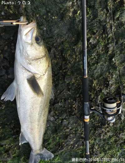 �����Х�