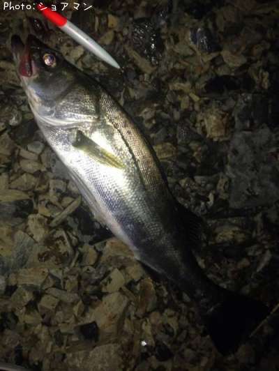 �����Х�