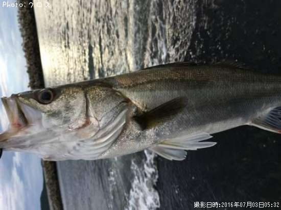 �����Х�