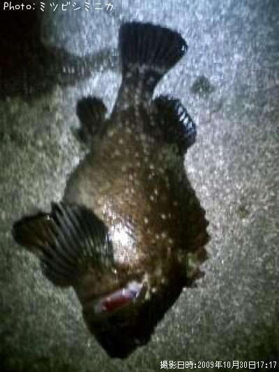 �����Υ���Х�