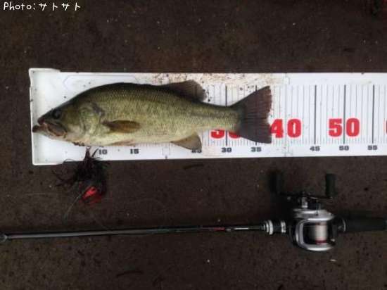 �֥�å��Х�