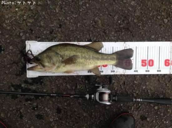 �֥�å��Х�