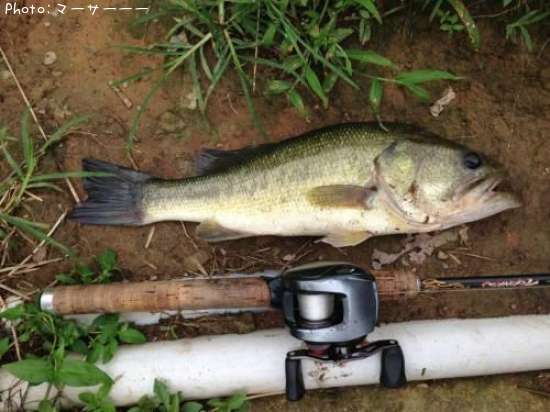 �֥�å��Х�