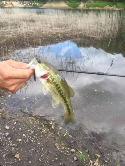 �֥�å��Х�