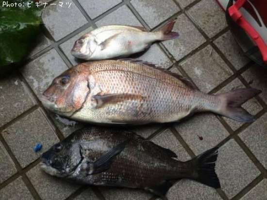 ���䡦����