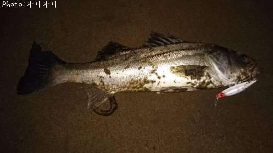 �����Х�