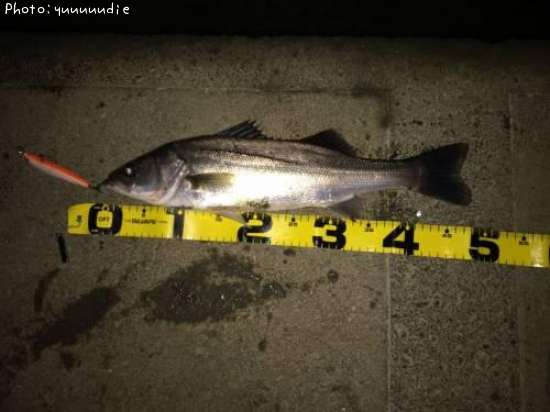 �����Х�