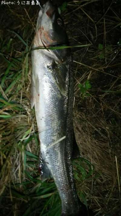 �����Х�