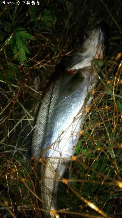 �����Х�