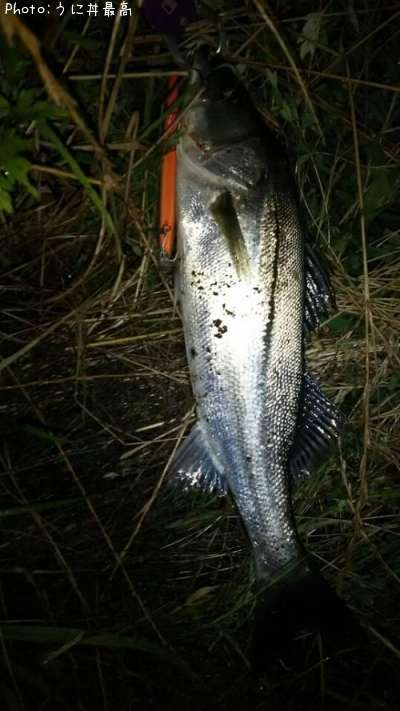 �����Х�