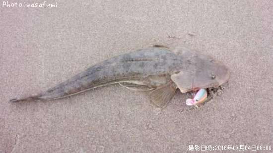 �ޥ���