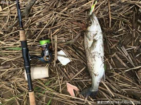 �����Х�