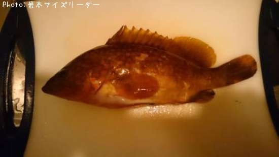 �����ϥ�