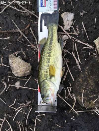 �֥�å��Х�