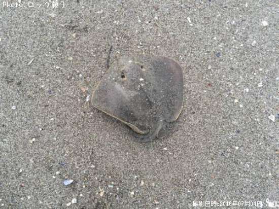 ���ƥ��󥰥졼