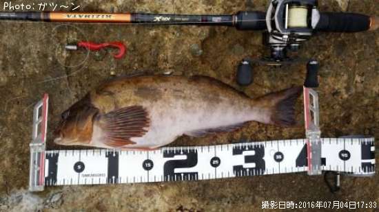 �����ʥ�