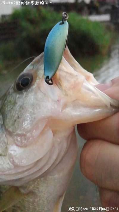 �֥�å��Х�