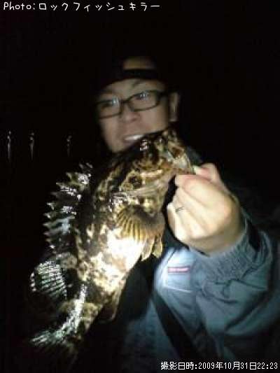 �٥å�������