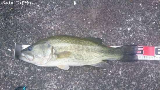 �֥�å��Х�