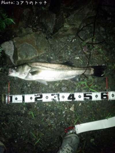 �����Х�