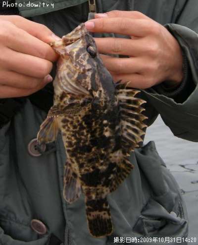 �����Υ���Х�