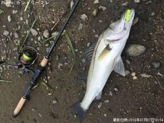 �����Х�